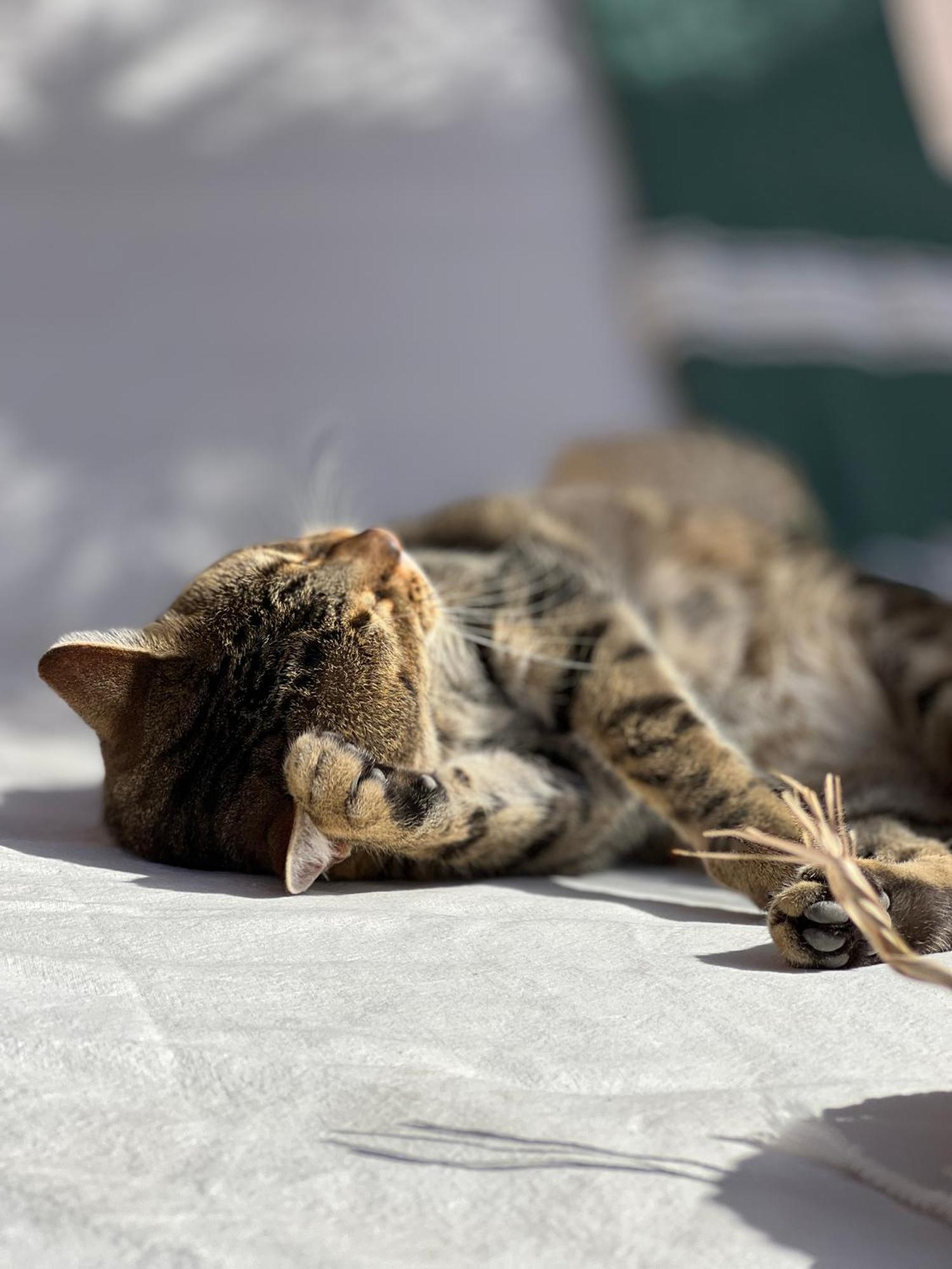 Riad Prive Sadaka Bassin Rooftop Marrákes Kültér fotó